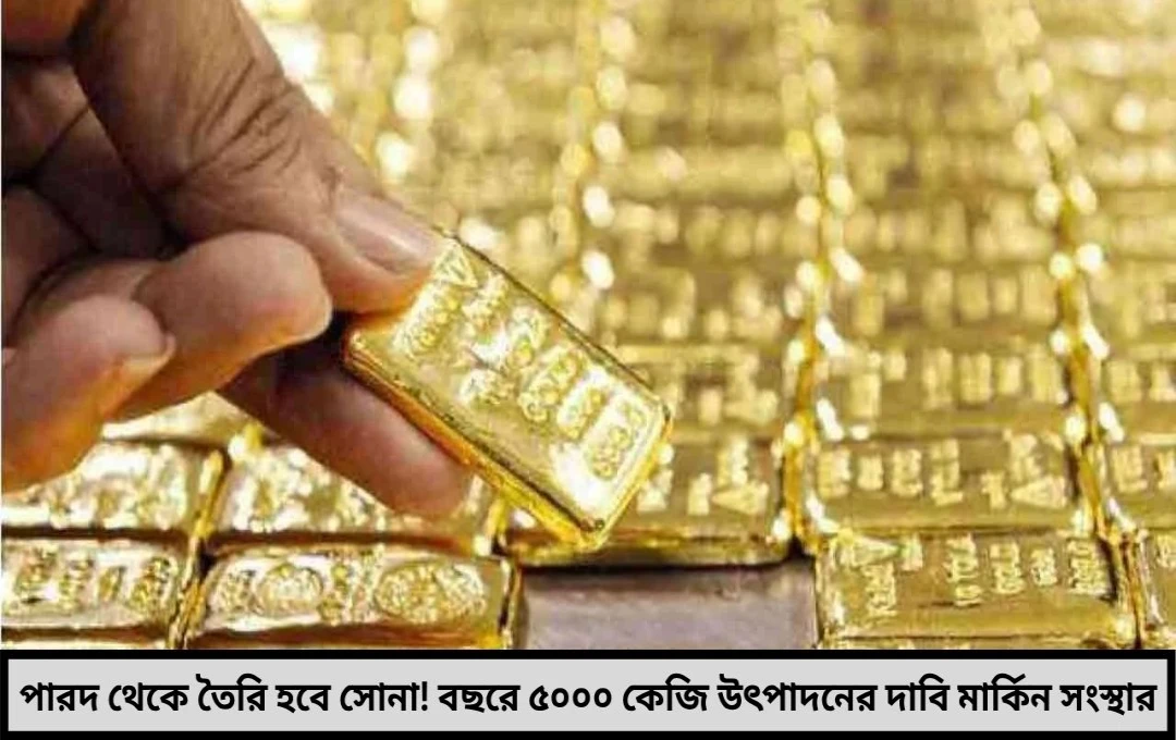 পারদ থেকে সোনা মার্কিন সংস্থার বিস্ফোরক দাবি সোনার দাম পড়বে ধসে?
