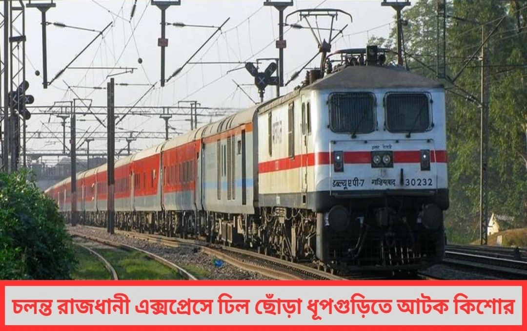 চলন্ত রাজধানীতে ঢিল ছোঁড়া ধূপগুড়িতে আটক কিশোর