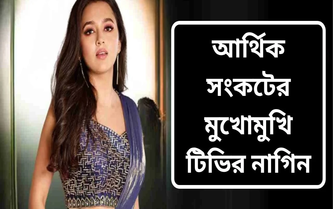 সংগ্রাম থেকে সাফল্যের শিখরে তেজস্বী প্রকাশ: কোটি টাকার মালকিন হওয়ার গল্প