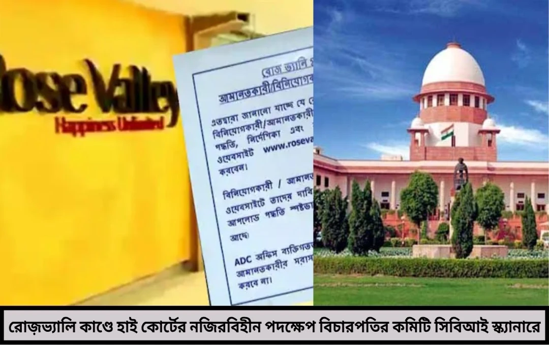 রোজভ্যালি কাণ্ডে নজিরবিহীন মোড় বিচারপতির কমিটি সিবিআই স্ক্যানারে