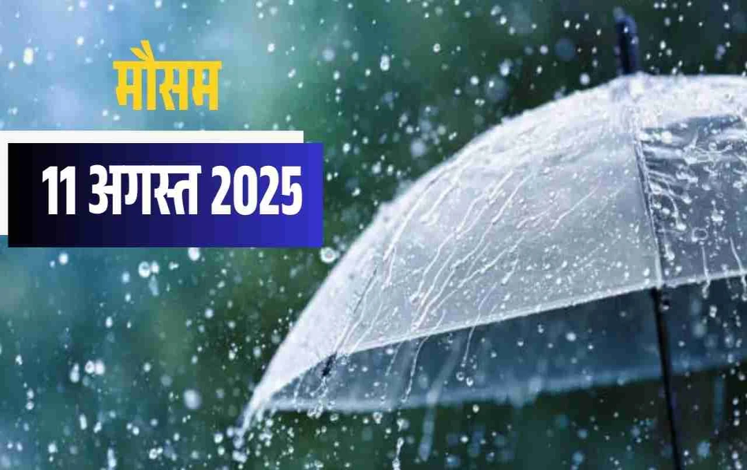 मौसम विभाग का अलर्ट: उत्तराखंड और हिमाचल में सात दिन भारी बारिश, दिल्ली-यूपी में हल्की बारिश की संभावना
