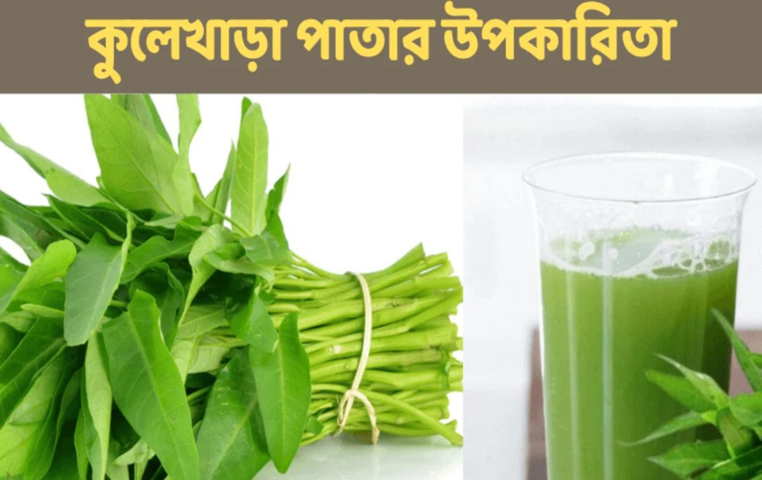 বর্ষার অমূল্য উপহার: কুলেখাড়া শাক