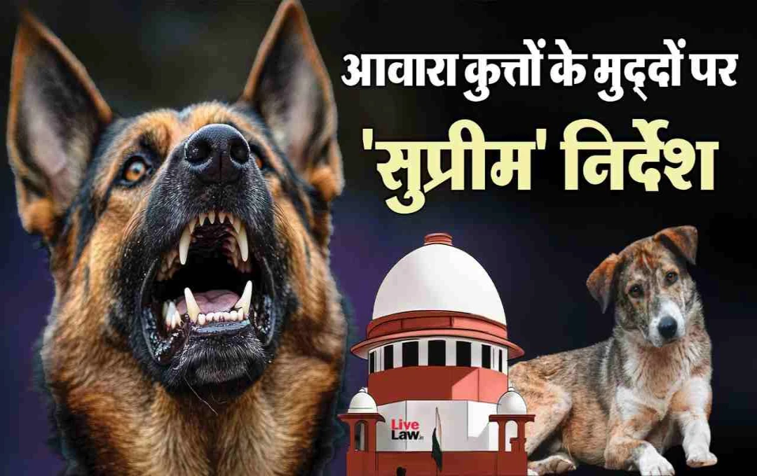 सुप्रीम कोर्ट ने आवारा कुत्तों पर अपनाया सख्त रुख: कहा- ‘पकड़कर शेल्टर में रखें’