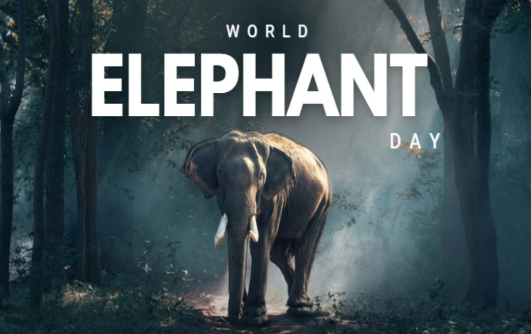 World Elephant Day: प्रकृति के विशाल संरक्षकों की सुरक्षा और संरक्षण का संदेश