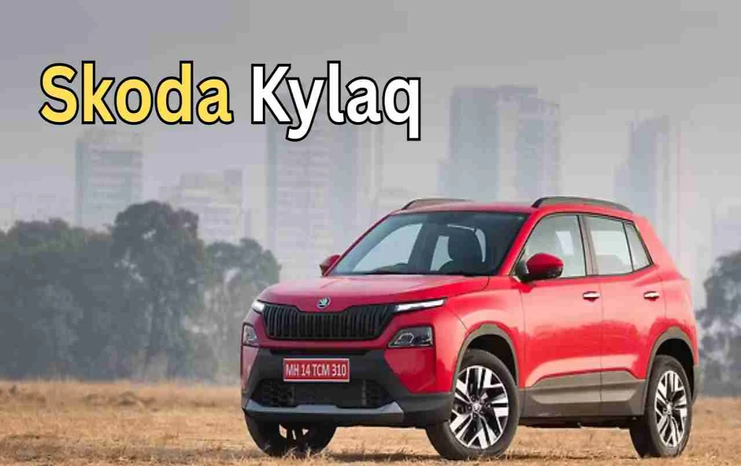 Škoda Kushaq Special Edition Launched in India to Celebrate 25th Anniversary