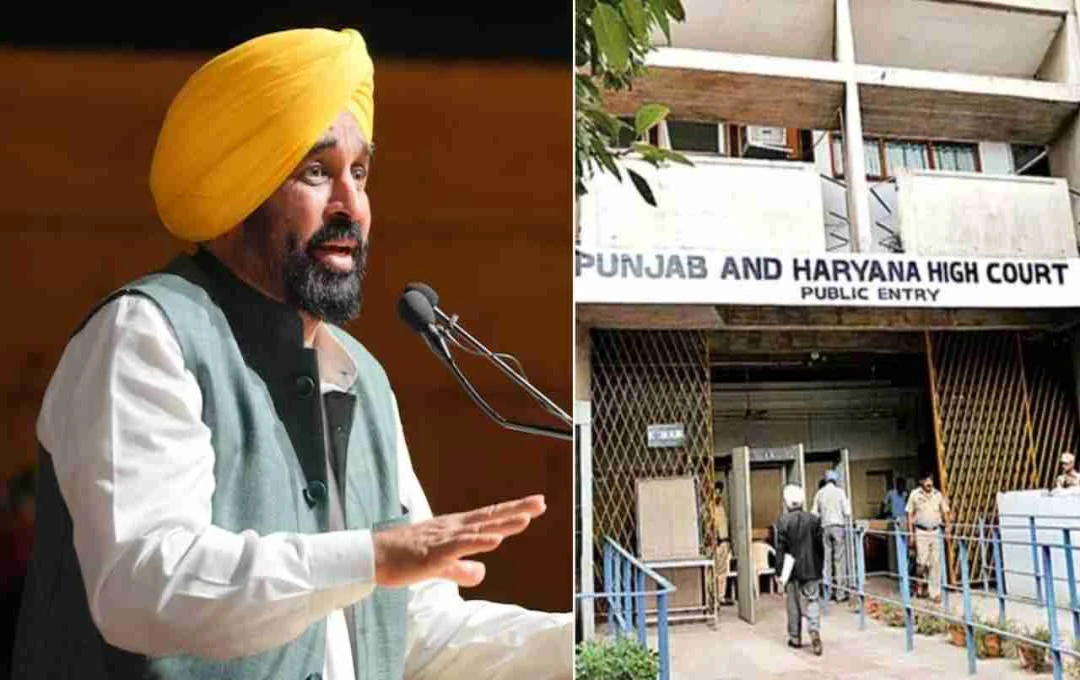 Punjab Government Withdraws Controversial Land Pooling Policy After Protests and Court Stay
