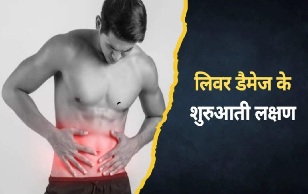 Understanding Liver Damage: Symptoms, Causes, and Prevention