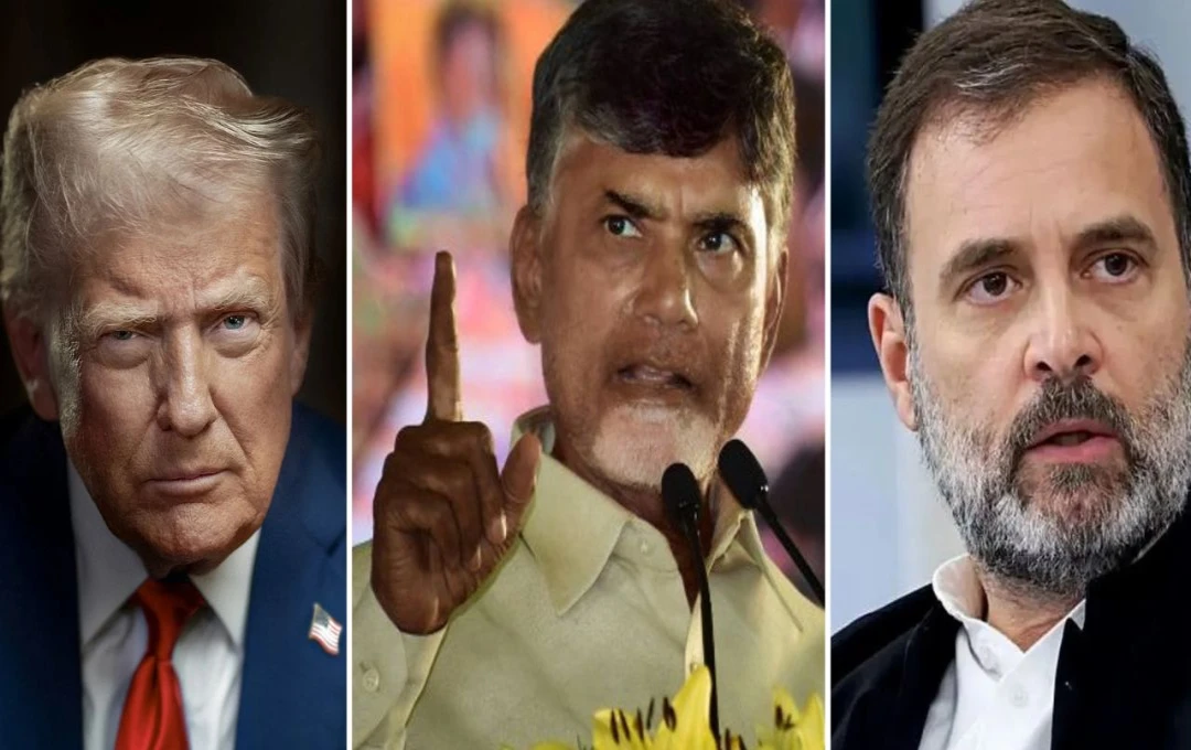 Chandrababu Naidu Rejects Claims of Weak Indian Economy, Cites Rapid Growth