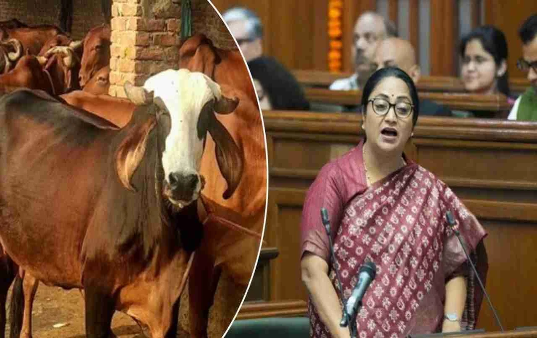 দিল্লিতে ক্ষুদ্র সচিবালয় ও গোশালা: মুখ্যমন্ত্রীর নতুন উদ্যোগ