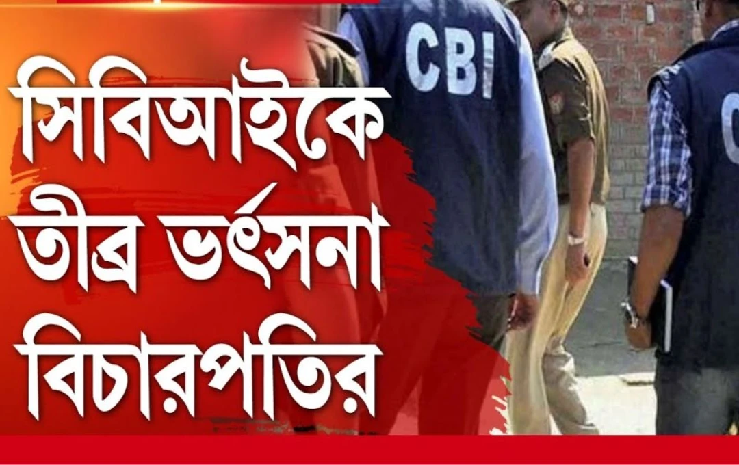 সিবিআইকে তীব্র অভিশংস অবিবেচকের মতো আচরণ  বিচারকের কটাক্ষ