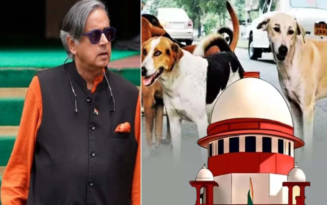 आवारा कुत्तों पर सुप्रीम कोर्ट का आदेश, शशि थरूर ने दी प्रतिक्रिया