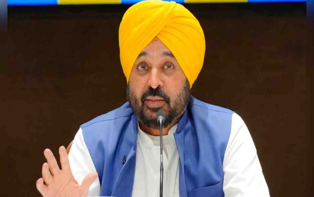 Punjab усилва мерките за сигурност преди Деня на независимостта