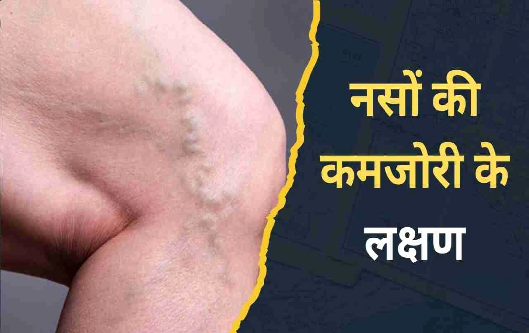 স্নায়ুকে শক্তিশালী করার উপায়: দুর্বলতার লক্ষণ, কারণ ও খাবার