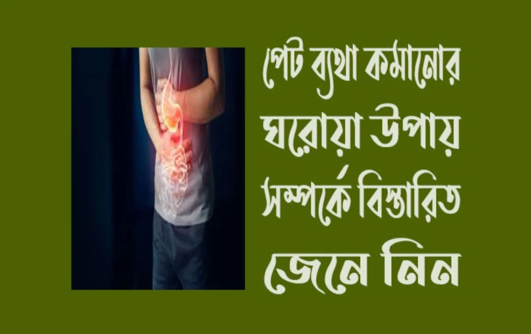 অ্যাপেন্ডিসাইটিসে সংক্রমণের প্রাথমিক সংকেত: পেট ব্যথা থেকে বমি ভাব পর্যন্ত সতর্কবার্তা