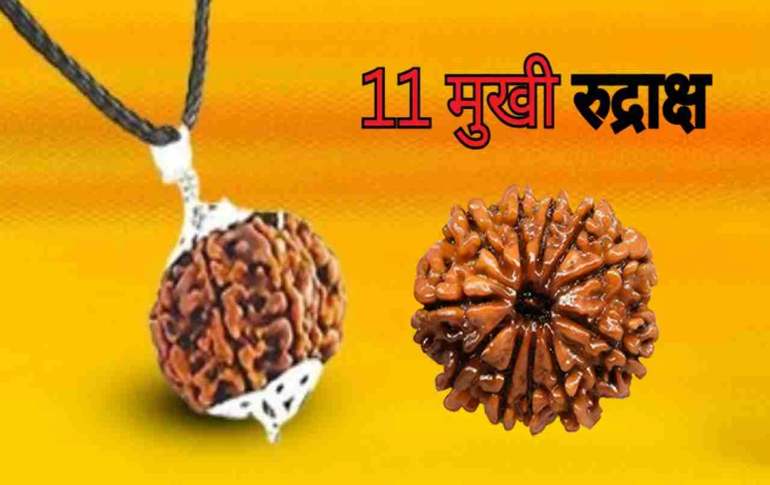 11 Mukhi Rudraksha: Benefits, Significance, and How to Wear It