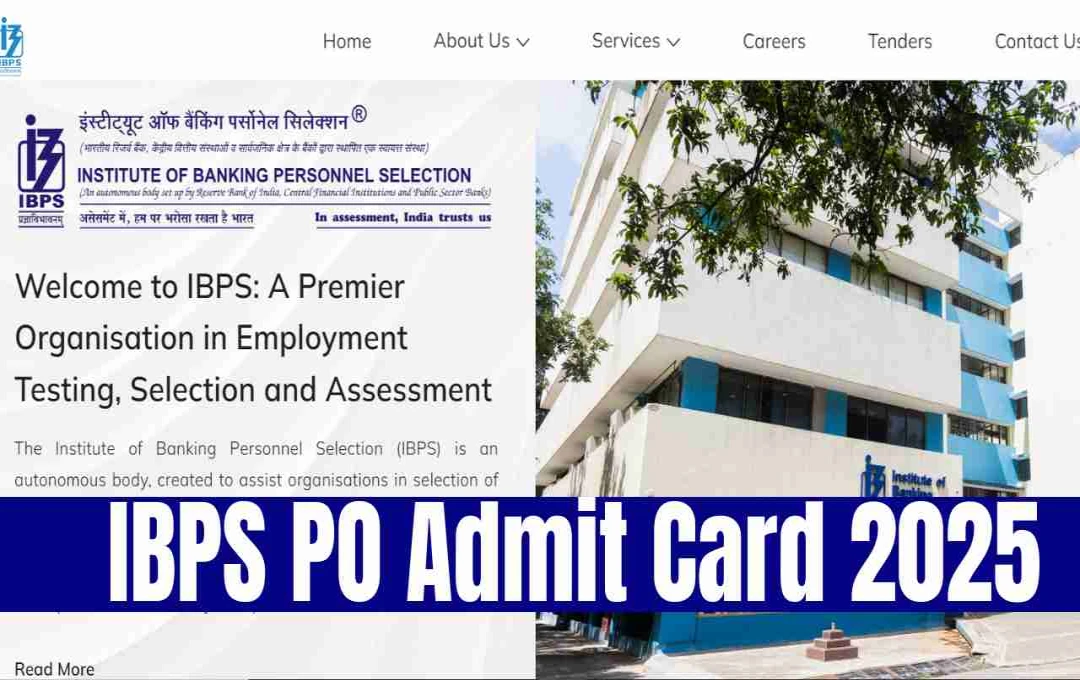 IBPS PO 2025 एडमिट कार्ड जारी, यहां करें डाउनलोड
