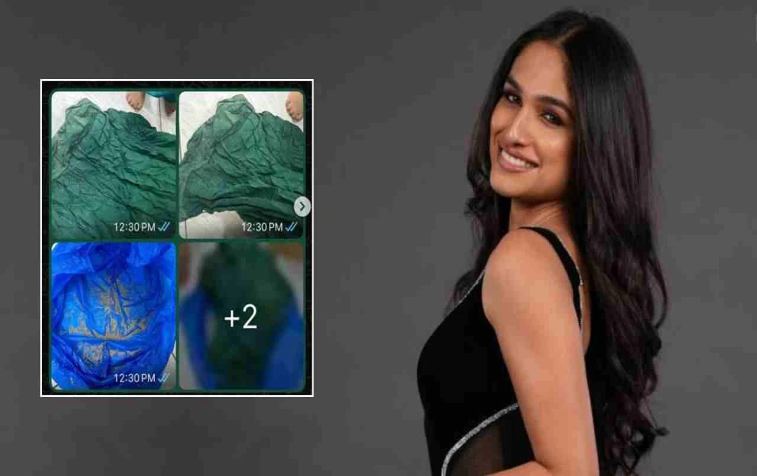 बिग बॉस 18: कशिश कपूर पर डिजाइनर को 85,000 का चूना लगाने का आरोप, सोशल मीडिया पर हुआ खुलासा
