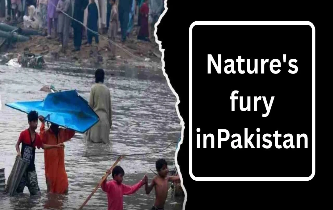 Pakistan Floods: Over 214 Dead as Heavy Rains Devastate Khyber Pakhtunkhwa and POK