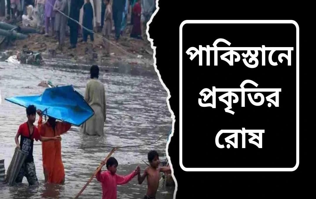 পাকিস্তানে ভারী বৃষ্টি ও বন্যা: ২১৪ জনের বেশি মানুষের মৃত্যু, খাইবার পাখতুনখোয়া বিধ্বস্ত