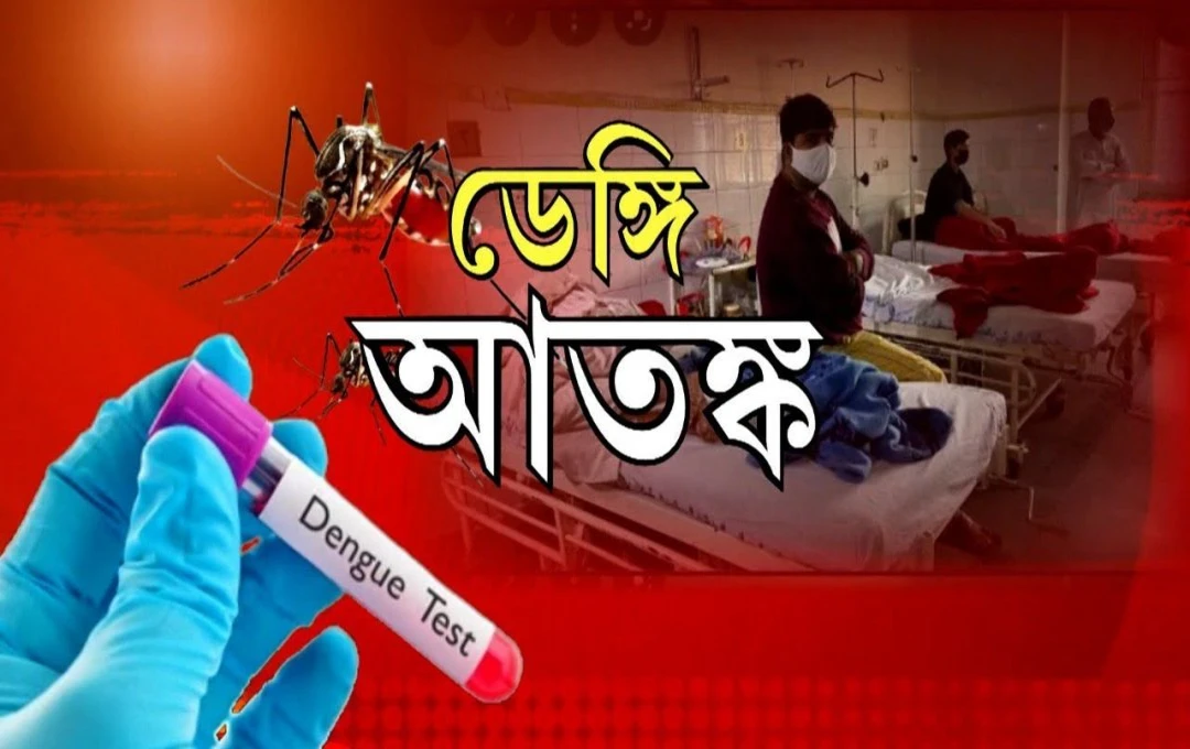কলকাতায় ডেঙ্গির থাবা ফের তরুণের মৃত্যু আতঙ্ক বাড়ছে শহরে