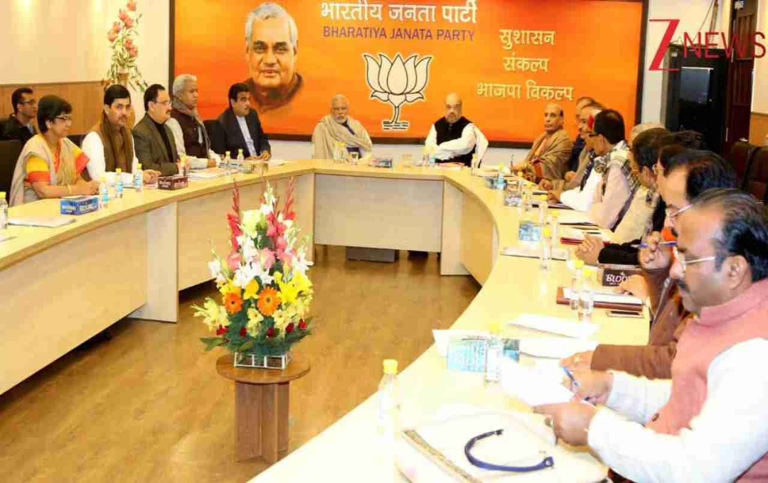 उपराष्ट्रपति पद की दौड़: राज्यपालों से लेकर आरएसएस नेता तक नाम चर्चा में