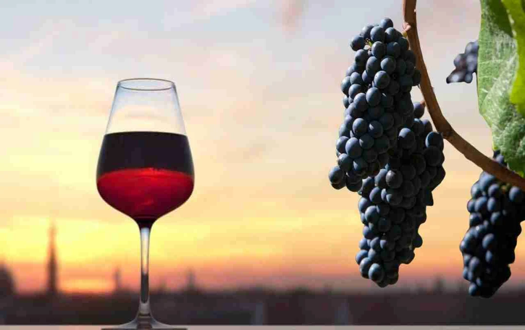 National Pinot Noir Day: वाइन प्रेमियों के लिए खास दिन
