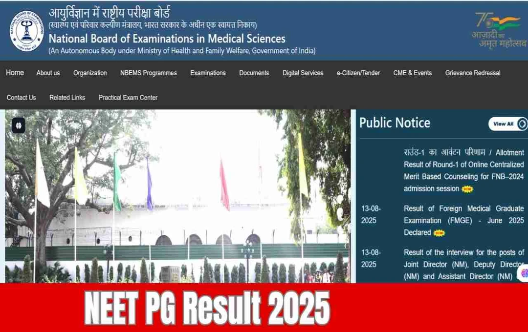NEET PG Result 2025: कब जारी होगा रिजल्ट, जानें स्कोरकार्ड और काउंसिलिंग से जुड़ी पूरी जानकारी