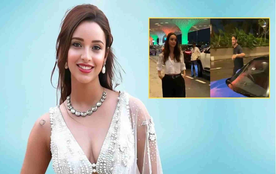 তৃপ্তি ডিমরি ও স্যাম মার্চেন্ট: সম্পর্ক নিয়ে জল্পনা তুঙ্গে!