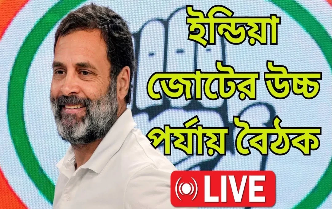 ইন্ডিয়া জোটের বৈঠক শুরু তৃণমূল সাংসদদের অংশগ্রহণ