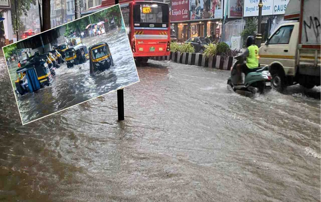 Mumbai Under Red Alert: Schools Closed, Traffic Disrupted Due to Heavy Rainfall