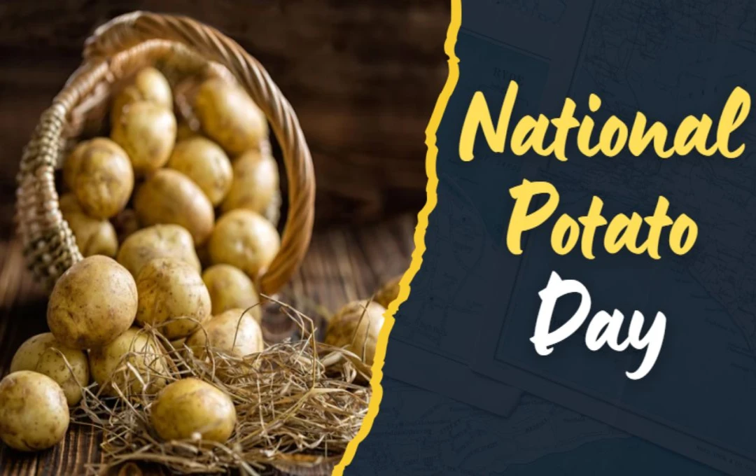 Celebrating National Potato Day: History, Uses, and Cultural Significance