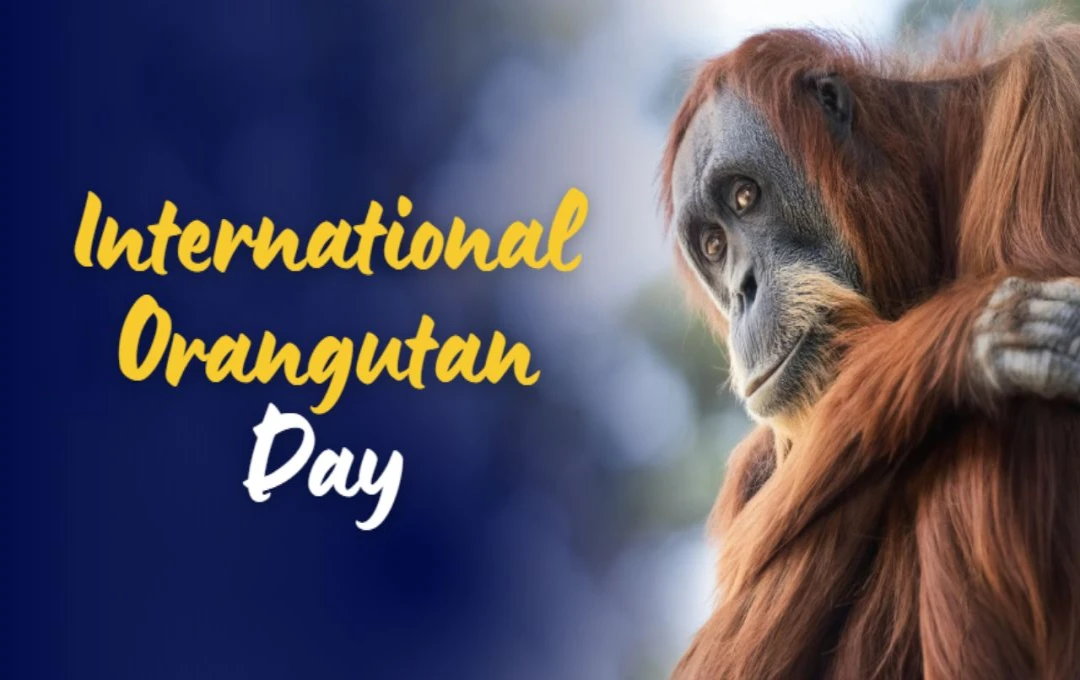 International Orangutan Day: जागरूकता, संरक्षण और ओरांगुटान की सुरक्षा का संदेश