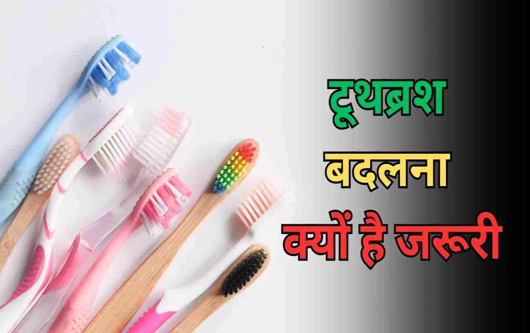 The Importance of Regularly Replacing Your Toothbrush: Expert Dental Advice