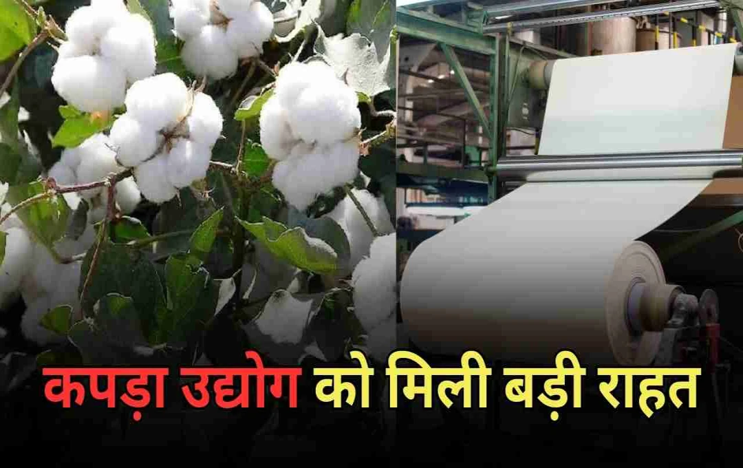 कपड़ा उद्योग को मिली बड़ी राहत, कच्चे कपास पर हटाया गया शुल्क, जानें पूरी डिटेल