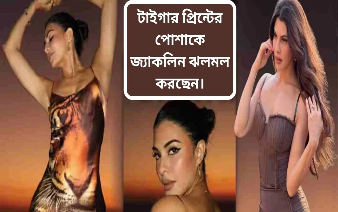 গ্ল্যামারাস লুকে ভাইরাল জ্যাকলিন ফার্নান্ডেজ: নতুন ছবি প্রকাশ্যে!