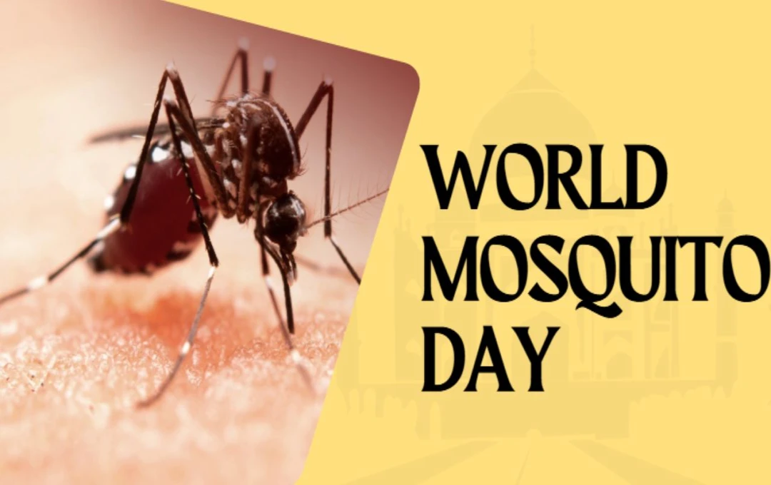 বিশ্ব মশা দিবস: ইতিহাস, প্রভাব এবং সুরক্ষার উপায়