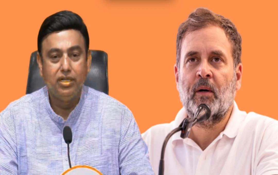 राहुल गांधी के 'डेड इकॉनमी' बयान पर बीजेपी का पलटवार, कहा- 'देश की तारीफ करना मुश्किल'
