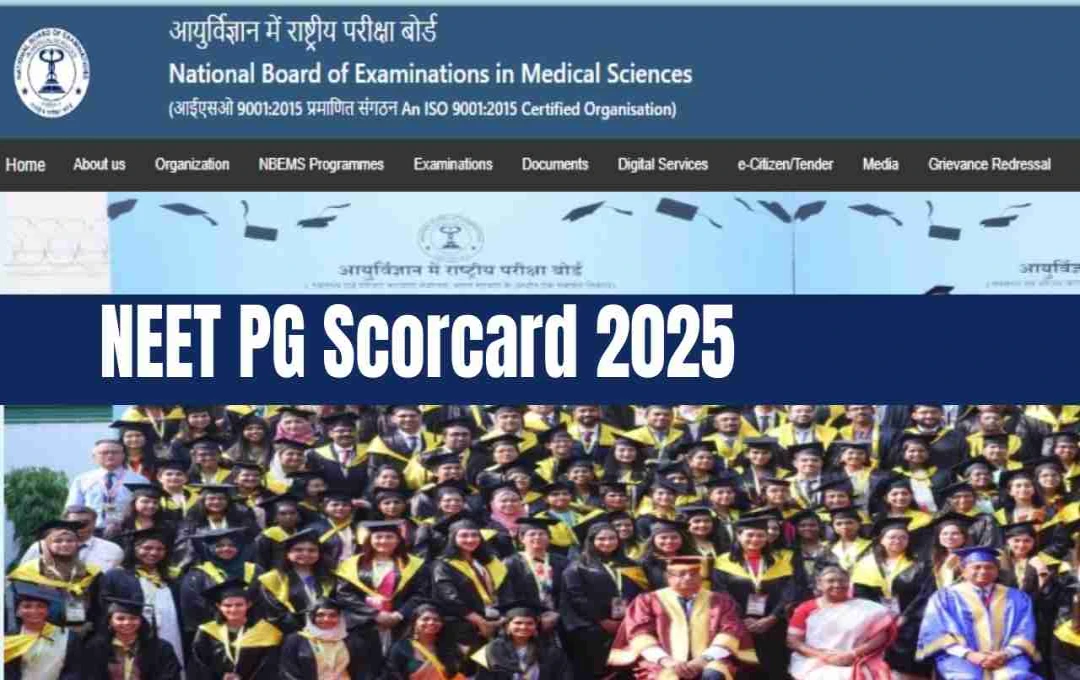 NEET PG 2025-এর ফল প্রকাশ: রেজাল্ট দেখুন এবং স্কোরকার্ড ডাউনলোড করুন