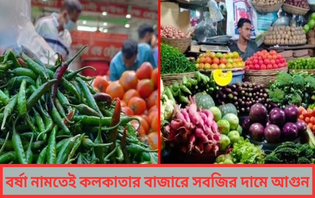পাইকারি বাজারে আগুন খুচরো বাজারে দগ্ধ সাধারণ মানুষ