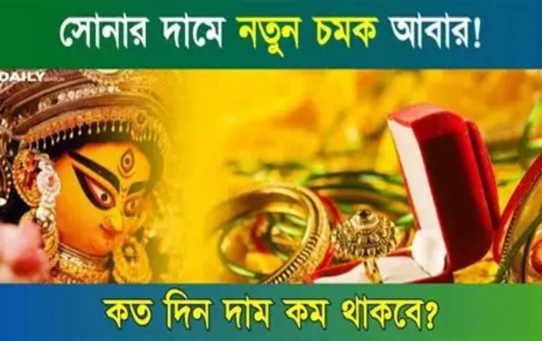সোনার দামে ধস আবারও চাঙ্গা বাজারে আশা—দুর্গাপুজোর আগে বিনিয়োগে দোটানায় ক্রেতারা