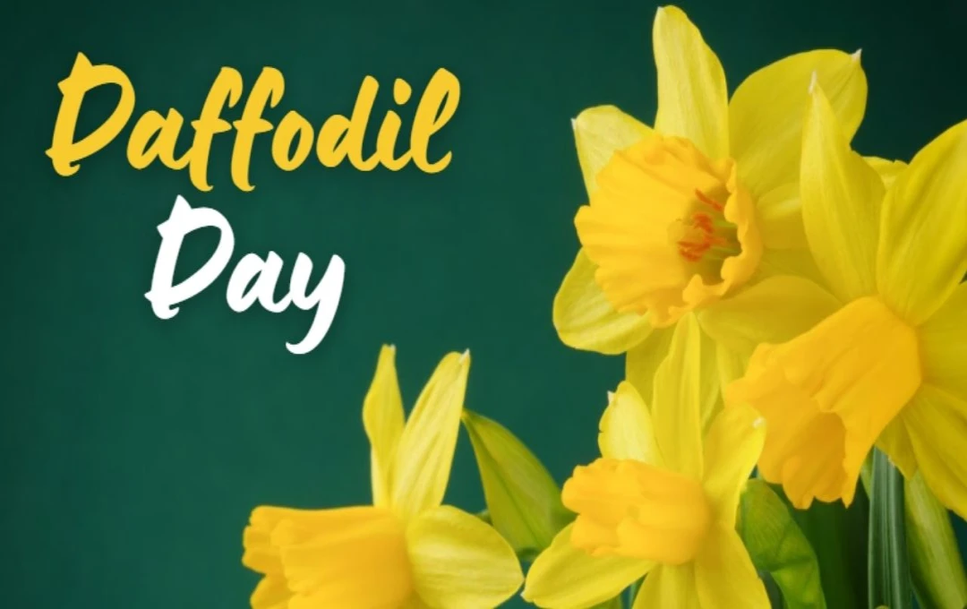 Daffodil Day: कैंसर जागरूकता और सहयोग का प्रतीक