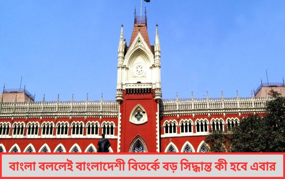  কলকাতা হাইকোর্টের রায় স্থগিত বাংলাভাষী মানেই বাংলাদেশি নতুন বিতর্কে উত্তাল রাজ্য