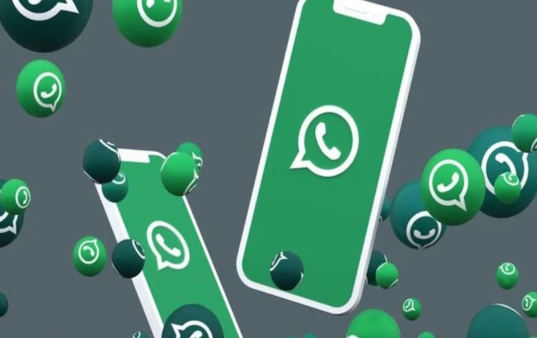 WhatsApp-এর নতুন Guest Chat ফিচার অ্যাপ না থাকলেও চ্যাট করা যাবে