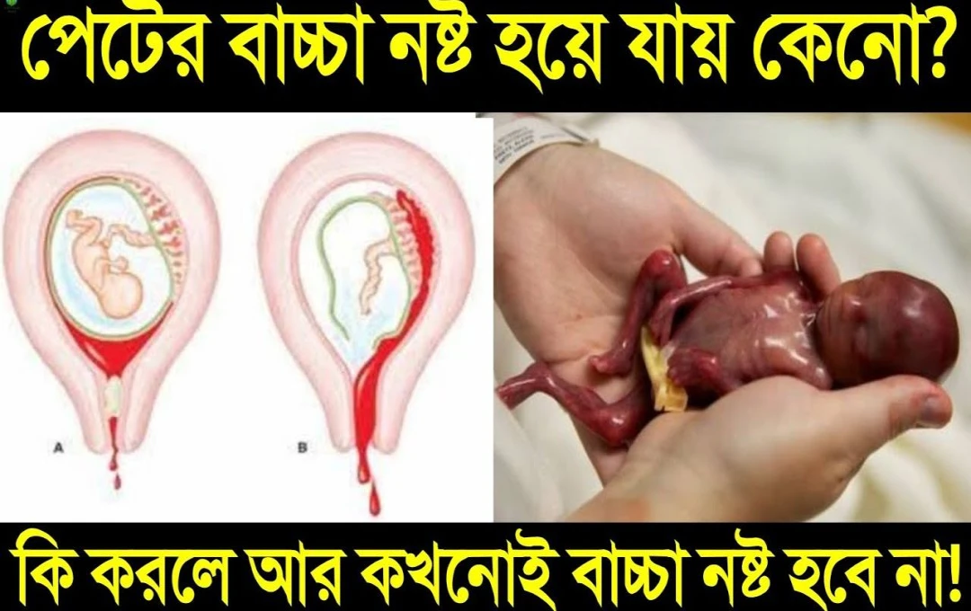 বর্তমান জীবনযাত্রা ও মহিলাদের প্রভাব
