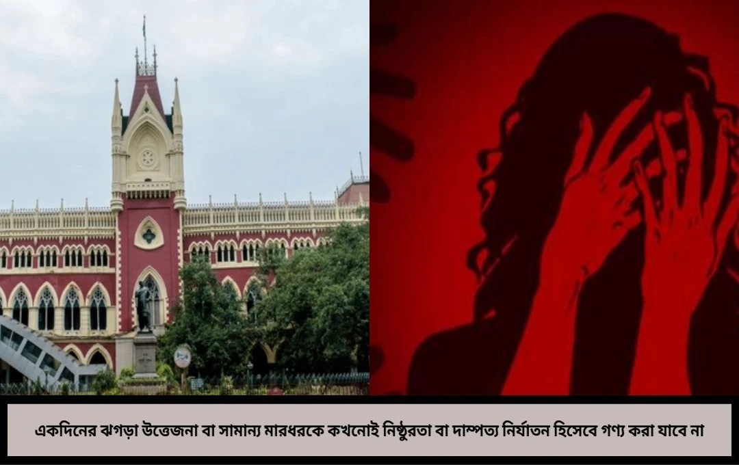একদিনের ঝগড়া বা চড়কে বধূ নির্যাতন বলা যাবে না