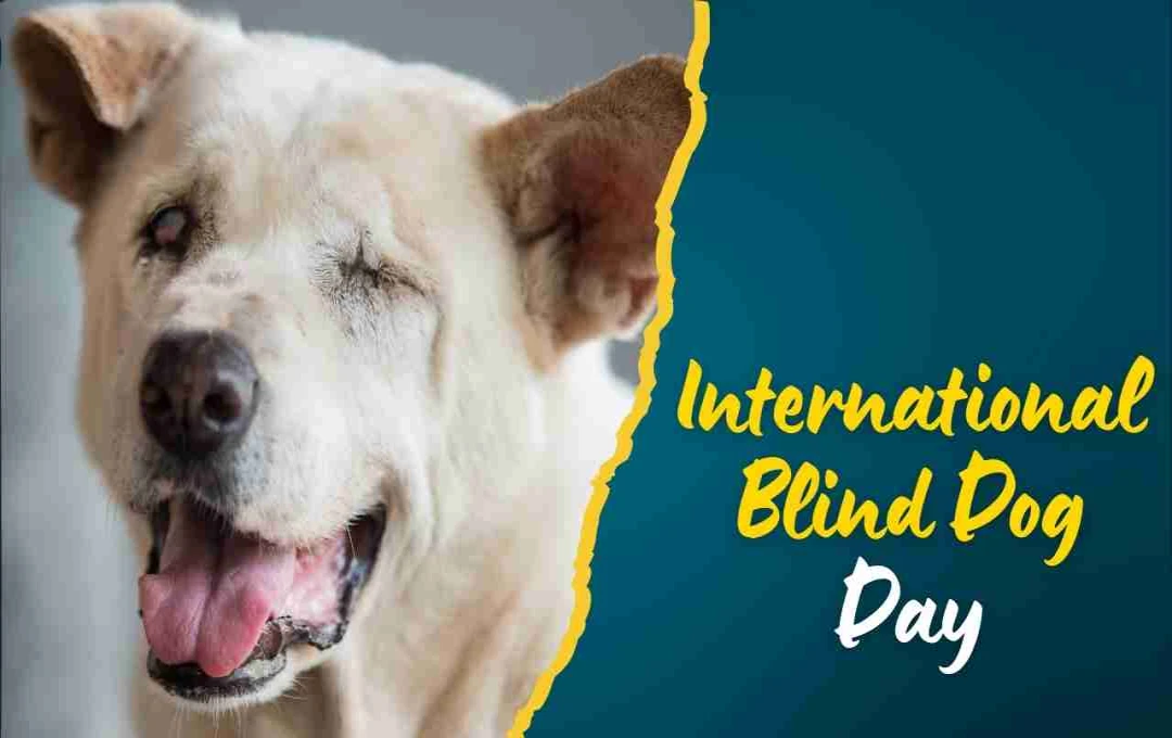 International Blind Dog Day: अंधे कुत्तों की खुशियों और साहस का उत्सव