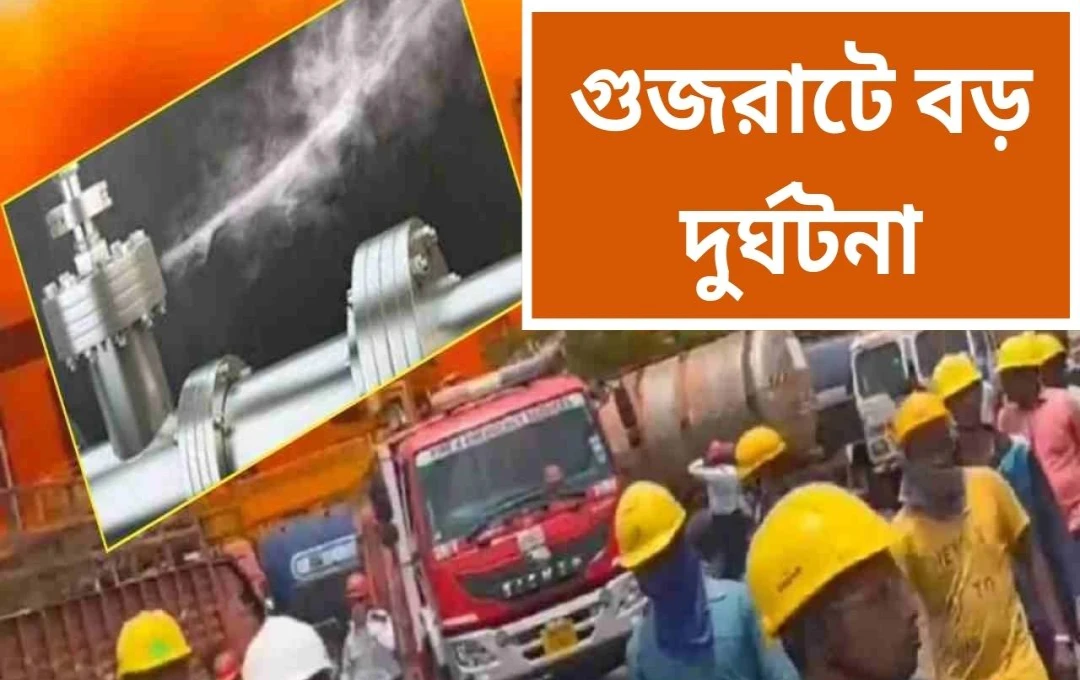 গুজরাটে খাদ্য প্রক্রিয়াকরণ কারখানায় বিষাক্ত গ্যাসে ২ শ্রমিকের মৃত্যু, ২ জন আশঙ্কাজনক