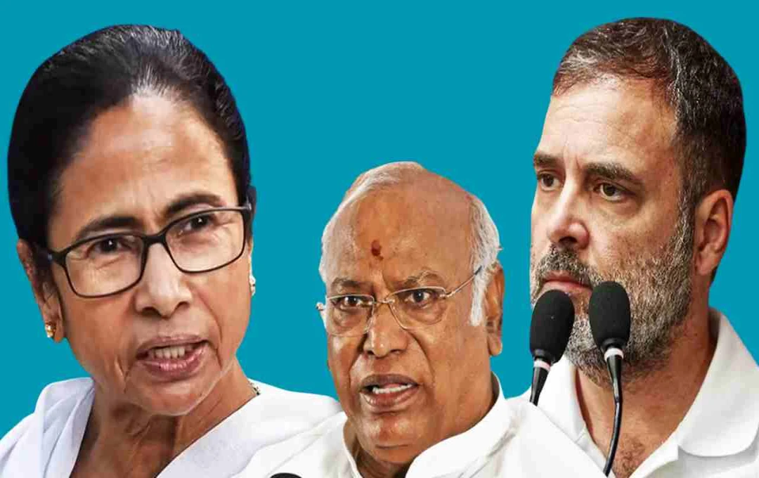 প্রধানমন্ত্রী ও মুখ্যমন্ত্রীদের বরখাস্তের বিল: বিরোধীদের মধ্যে বিভাজন