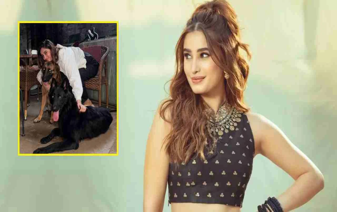 রাশা থাডানির মানবিকতা: তিনটি অসহায় প্রাণীকে দত্তক নিলেন অভিনেত্রী