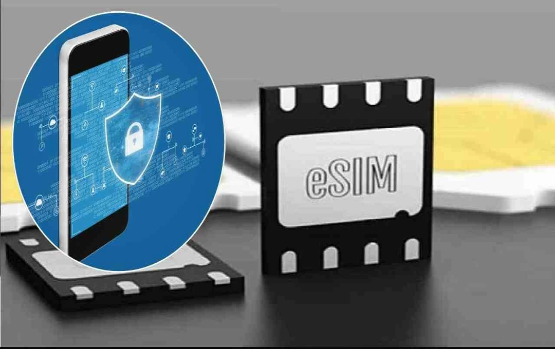 E-SIMs: A Secure Solution Against SIM Swapping and Mobile Fraud